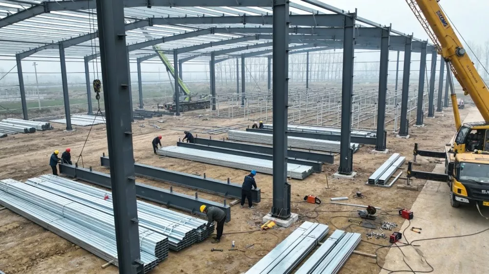 Steel Frame Farm